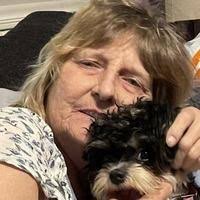 Crystal D. Clevenger Obituary (2024)