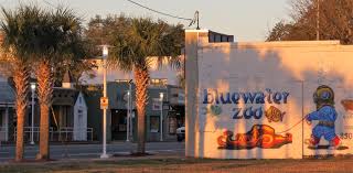 Bluewater Zoo Shop In Downtown Ft Walton Beach Beach Vacation Okaloosa Island Fl Vacations