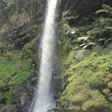 دولة قطر رومانيا رواندا ساموا سان مارينو المملكة العربية السعودية السنغال صربيا سيشيل سيرا ليون سنغافورة سلوفاكيا سلوفينيا جزر. Ø§Ù„Ø³ÙŠØ§Ø­Ø© ÙÙŠ Ø±ÙˆØ§Ù†Ø¯Ø§ Ø£ÙØ¶Ù„ Ù…Ø§ ÙÙŠ Ø±ÙˆØ§Ù†Ø¯Ø§ Ù„Ø¹Ø§Ù… 2021 Tripadvisor