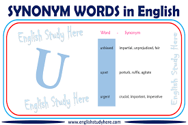 We've gathered 20 words all sixth graders are taught in schools — do you know what they all mean? Synonym Words With E In English English Study Here