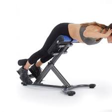 We did not find results for: Hyperextension Bench Roman Chair Latest Price Manufacturers Suppliers