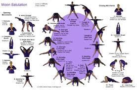 Yoga salute to the moon. Sun Salutation Moon Salutation Reference Card Set Laminated By Corinne Friesen 2014 08 02 Corinne Friesen Corinne Friesen 9781897266496 Amazon Com Books