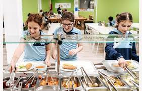 This history is not credited by john kroger, the proprietor of the cafeteria catering company, has filed a bill in the circuit court to. School Cafeteria International College Spain Nord Anglia