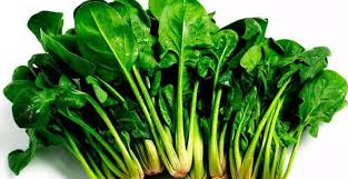 Pin By Ravi Rudrapati On Container Gardening And Diy Immune Boosting Foods Leafy Vegetables Vitamins