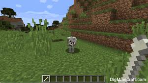 Dogs are, to all intents and purposes, tamed wolves, which get a collar and change looks. How To Tame A Wolf In Minecraft