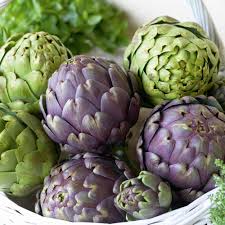 We did not find results for: Artichoke Twin Pack 12 Dobies