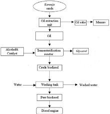 The Process Flowchart For Biodiesel Production Download