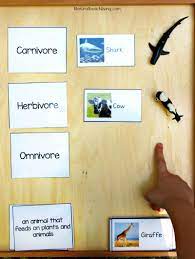 Montessori Science For Kids Animal Sort Activity Printables Food Chain Hands On Activit Animal Activities For Kids Montessori Science Montessori Activities
