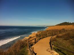 Visit the torrey pines state natural reserve website to learn more. Torrey Pines Hiking Running Trails Torrey Pines State National Reserve San Diego Ca West Coast Road Trip Places To Visit Torrey Pines Hike