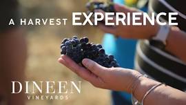 The Harvest Experience