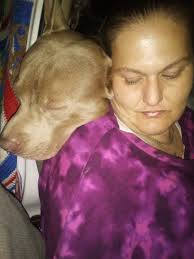 Adopted pitbull dog named Finn