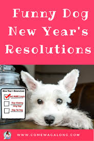 Funny Dog New Year S Resolutions Come Wag Along Funny Dogs Dog Quotes Funny Cute Funny Dogs