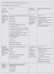 2 gehalt als praxisanleiter / praxisanleiterin. Grundlagen Der Pflegepadagogik Verstehen Und Anwenden Springerlink