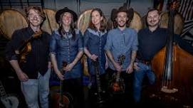 First Friday Concerts: Fox Crossing Stringband