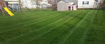 Yard art will provide affordable lawn care services in parma. Lawn Mowing Services In The Bristow Haymarket Manassas Va Area Patriot Lawn And Landscape