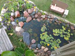 Koi living in outdoor ponds, where winters are cold, normally don't eat all winter, once the water temperature falls below a certain point. One Day I Hope To Have A Koi Pond As Beautiful As My Mom S Ponds