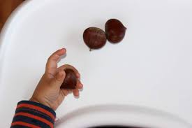 Dann sind kinder in der regel emotional so gefestigt, dass sie sagen können: Ab Wann Durfen Babys Kastanien Essen Babyled Weaning