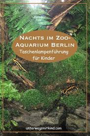 Kleine Taschenlampe Brenn Mit Kindern Im Aquarium Berlin Bei Nacht Unterwegs Mit Kind Ausflug Familienreisen Reisen