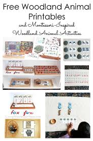 Free zoo pack by 3 dinosaurs. Free Woodland Animal Printables And Montessori Inspired Woodland Animal Activities Living Montessori Now
