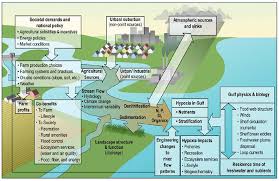 An Example Of A Conceptual Model Of An Integrated Approach Environmental Problem Farming System Hydrology