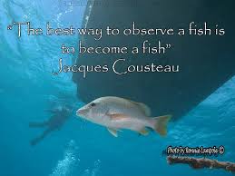 Jacques cousteau was one of the most famous ocean explorers of all time. Quotes About Scuba Diving 45 Quotes