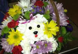 Cut flowers, no plants · directly from farmers All In Bloom Florist 747 Nw Federal Hwy Stuart Fl 34994 Yp Com