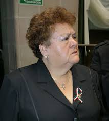 Diario de Ecatepec: Fallece víctima de un paro cardiaco la diputada Irma  Cerón; le rinden homenaje de cuerpo presente