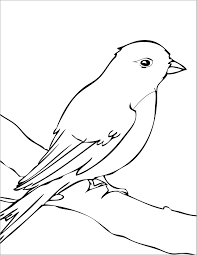 They sing happily all day long. Mockingbird Coloring Page For Kids Coloringbay
