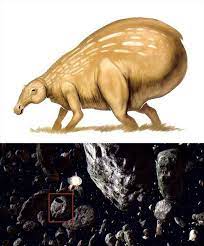 58 Facts You Probably Didn T Know About The Star Wars Movies Star Wars Film Star Wars Awesome Star Wars