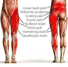I am in excruciating pain. Hip Brace Compression Groin Wrap For Pulled Muscles Hip Flexor Joint Products For Health