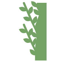 All png & cliparts images on nicepng are best quality. Moss Wall Living Wall Live Wall Green Wall Plant Wall Vertical Garden Greenleaf Interior Plant Solutions
