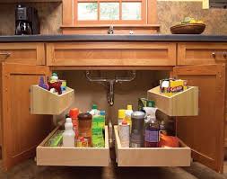 34 Insanely Smart Diy Kitchen Storage Ideas Kitchen Sink Storage Storage Solutions Diy Sink Storage