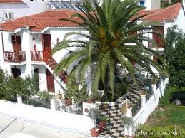 Molto vicino al centro della città e posizione ideale per raggiungere le spiagge. Famiglia Pensione Amalthia Studios In Skiathos Grecia Dove Andrai Al Mare Alloggi Privati Sul Mare Appartamenti Camere