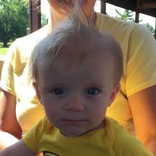 Derrick Bradshaw Email & Phone Number