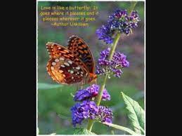 Yes I Remember How Much I Ve Always Loved This Song And Now I Know Love Is Love And My Christ Is All Love Beautiful Songs Song Artists Butterfly