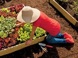 Check spelling or type a new query. Gardener S Supply Company Reviews Read Customer Service Reviews Of Www Gardeners Com