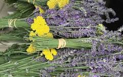 U Pick Lavender 9:30-3:00pm