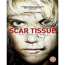Scar Tissue DVD (2015) Danny Horn Michell (DIR) cert 18