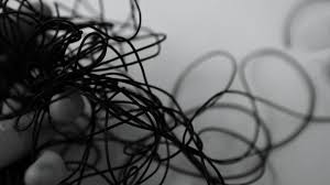 Bildergebnis für Maria Laet