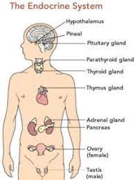 Pin On Addiction Treatment Using Holistic Approach