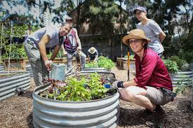 Kitchen garden support line 13000 sakgf (13000 72543) stephanie alexander's kitchen garden foundation would not be possible without our supporters. Community Gardens City Of Sydney