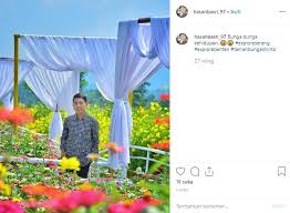 Setelah banyak warga yang menguploadnya di media sosial kini banyak sekali. 5 Potret Taman Bunga Shinta Di Serang Banten Cantiknya Bikin Betah