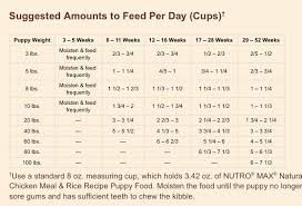 These details may seem straightforward, but there are additional keys that you should follow to know how to increase their great dane puppy owners can choose between dry kibbles, canned food, raw feeding protocols and home cooked diets. Nutro Puppy Feeding Chart Puppy Feeding Guide Puppy Feeding Schedule Dog Feeding Schedule