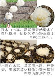 白木耳 平民燕窝 白木耳又称雪耳 银耳 具有滋阴 清热 润肺 润肠等功效 白木耳主要可以分为两类 原木白木耳和木屑白木耳 它含蛋白质 钙质以及丰富的植物胶质 因此白木耳也有 平民燕窝 的称号 fungi food condiments