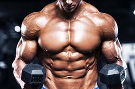 The natural constitution, or physical structure, of a person. Five Sureshot Ways To Build A Chiselled Physique