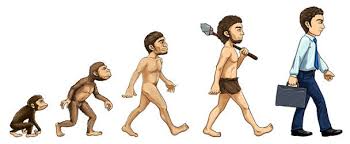 Résultat de recherche d'images pour "darwin evolution"