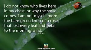 It was a simple airplane and easy to fly. Rumi Quotes On War And Peace Rumi Quotes On The Leaf And Morning Wind Abrainyquote Dogtrainingobedienceschool Com