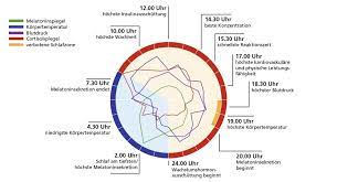 Die perfekte zeit zum trainieren ist meistens morgens zwischen 9. Leben Mit Der Zeit Gesunderhaltung Mit Der Inneren Uhr