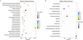 Maybe you would like to learn more about one of these? Transcriptome Profiles Identify The Common Responsive Genes To Drought Stress In Two Elymus Species Sciencedirect