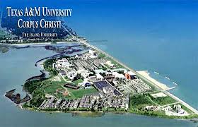 How far am i from corpus christi. Study Abroad In The Texas A M Corpus Christi University Usa Ranking Courses Fees